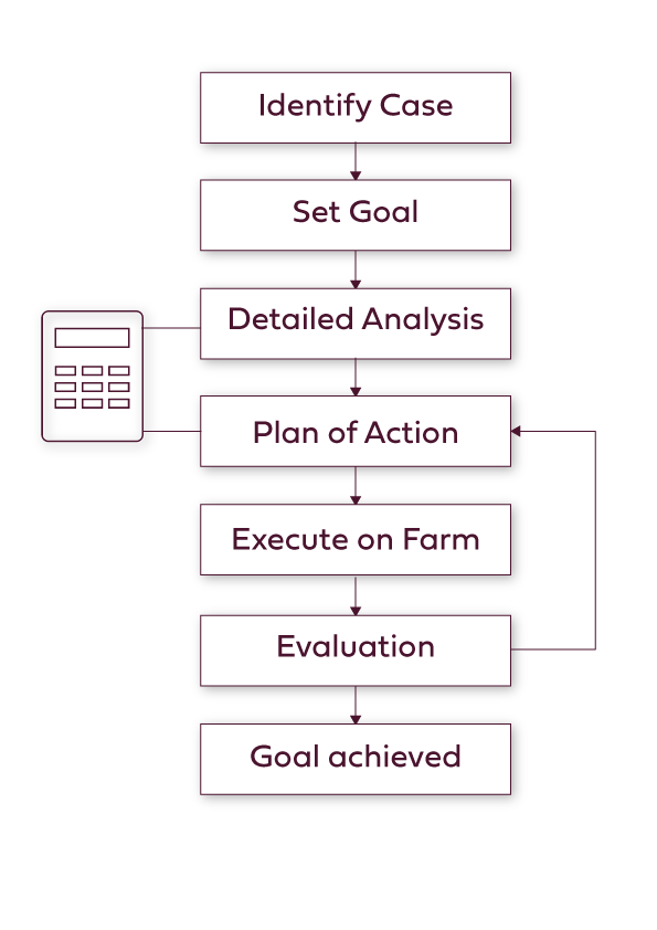 advice-structure